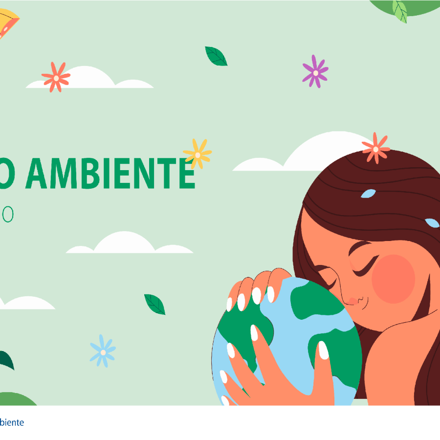 Medio Ambiente