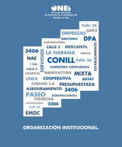 Organización Institucional